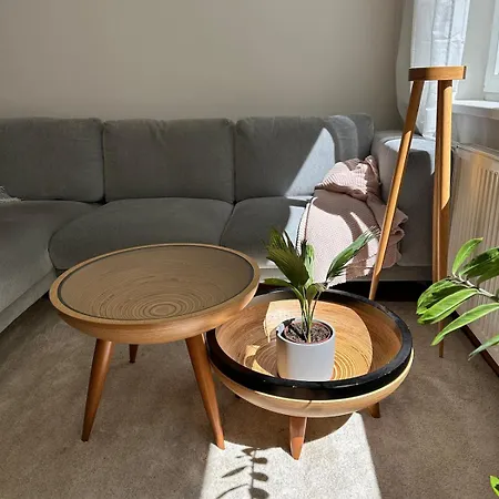 With Private Garden 利托米什尔